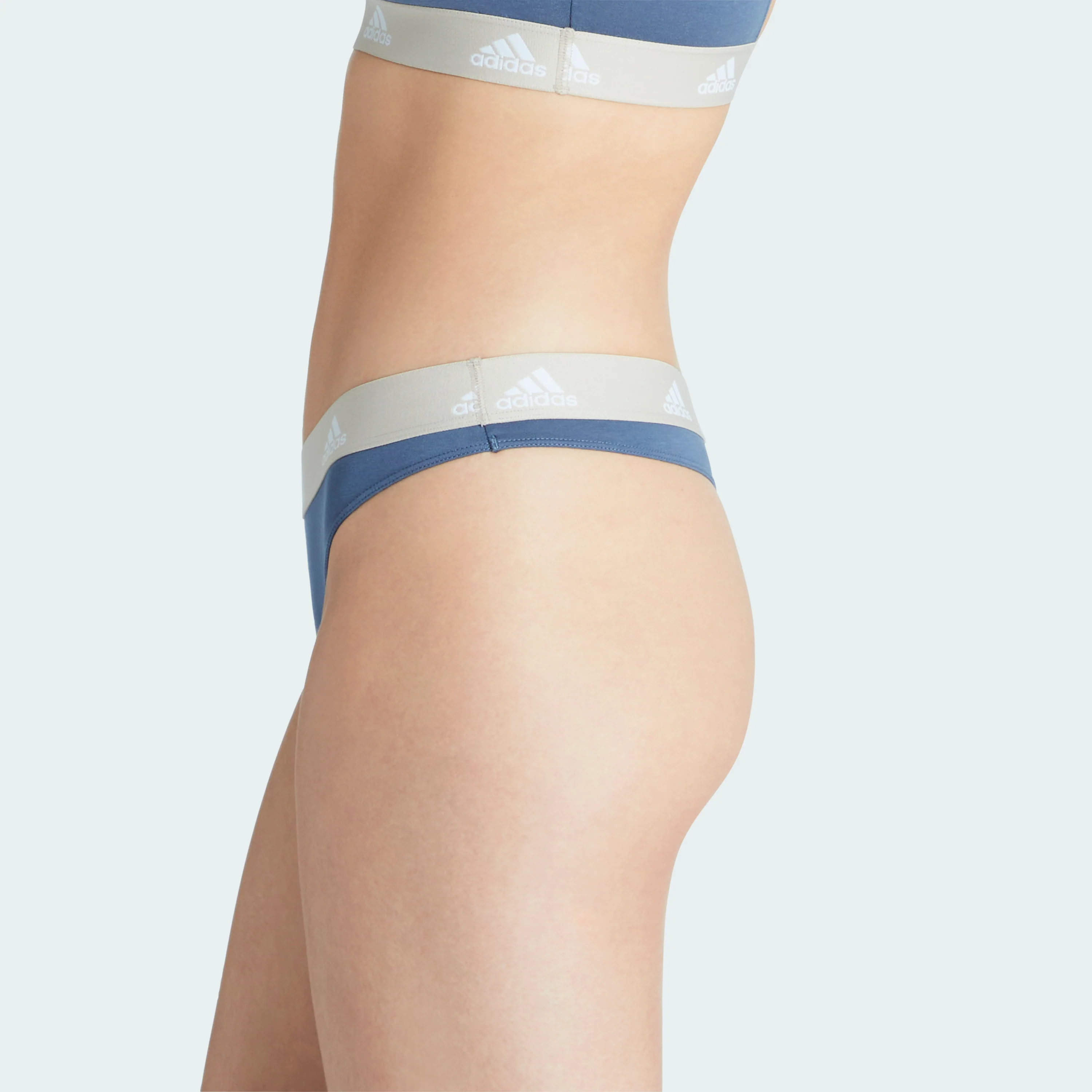 ACTIVE COMFORT COTTON THONG 3 PAIRS - Image 36
