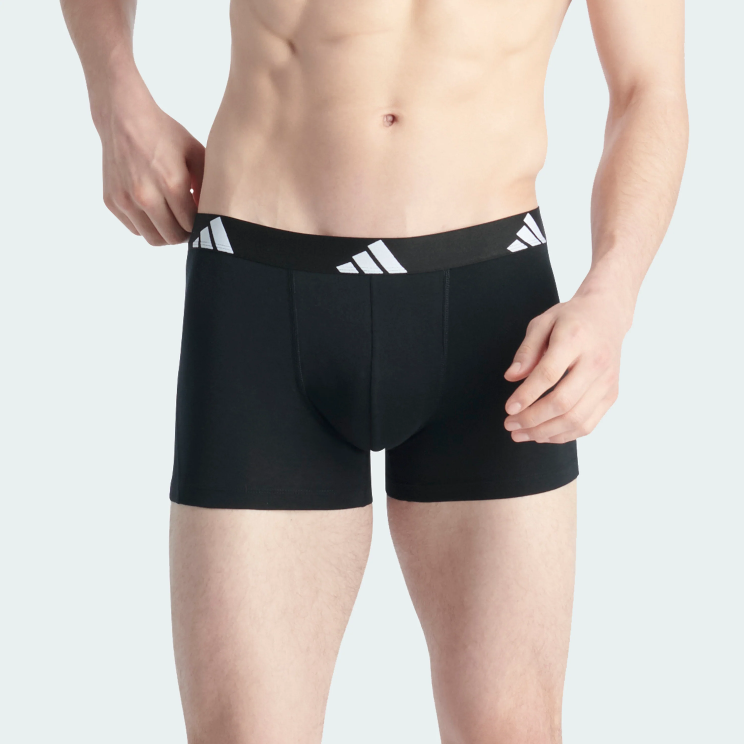 RICCARDO CALAFIORI TRUNK BUNDLE - Image 4